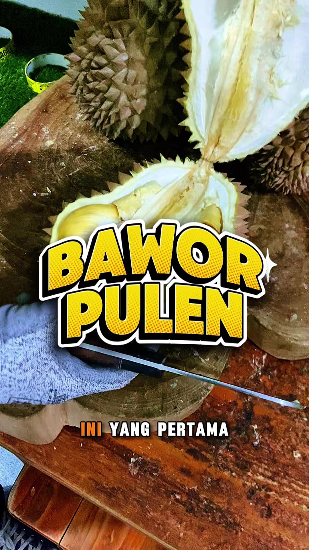 @CICIP DURIAN