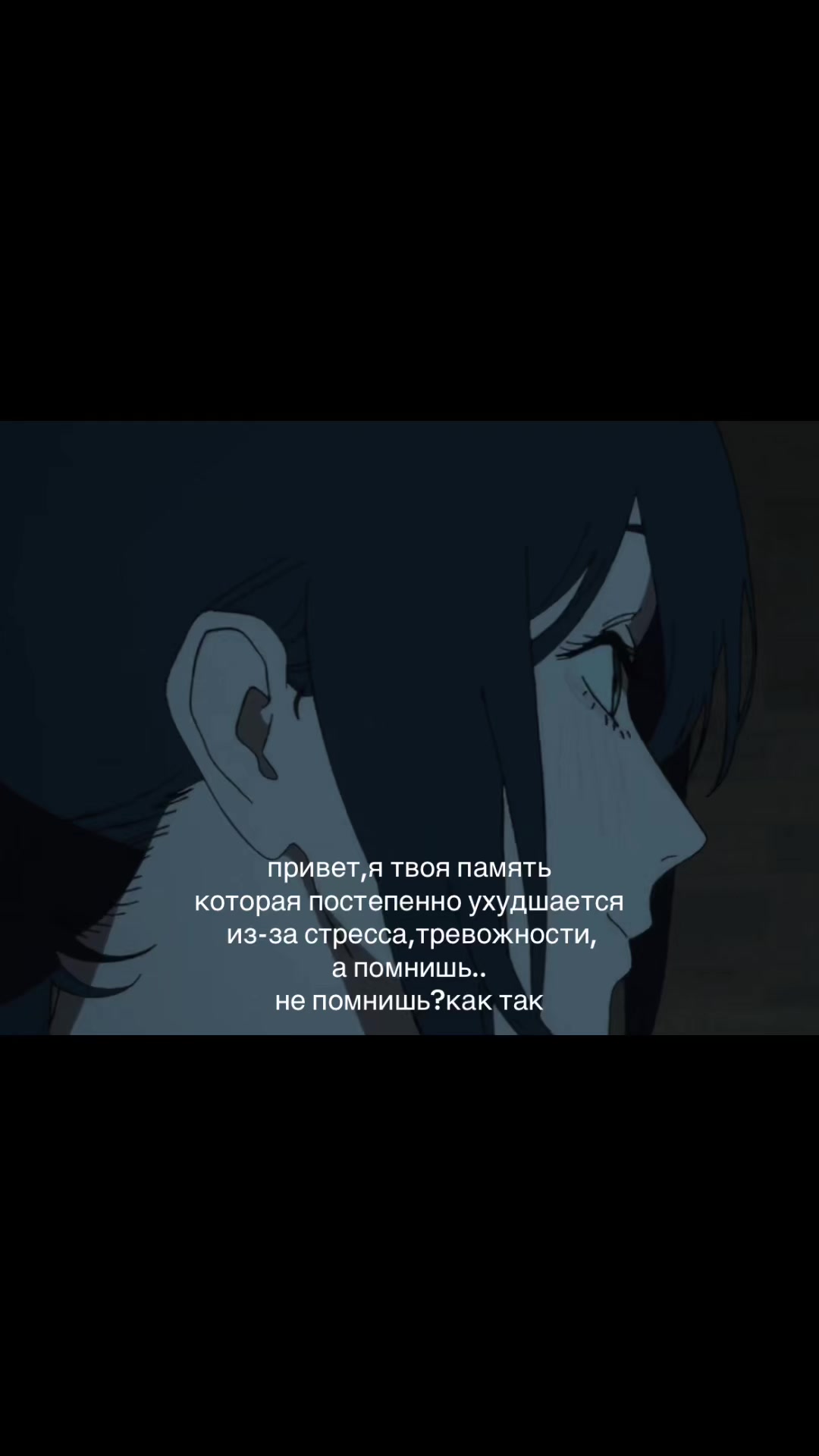 @шейня 💭
