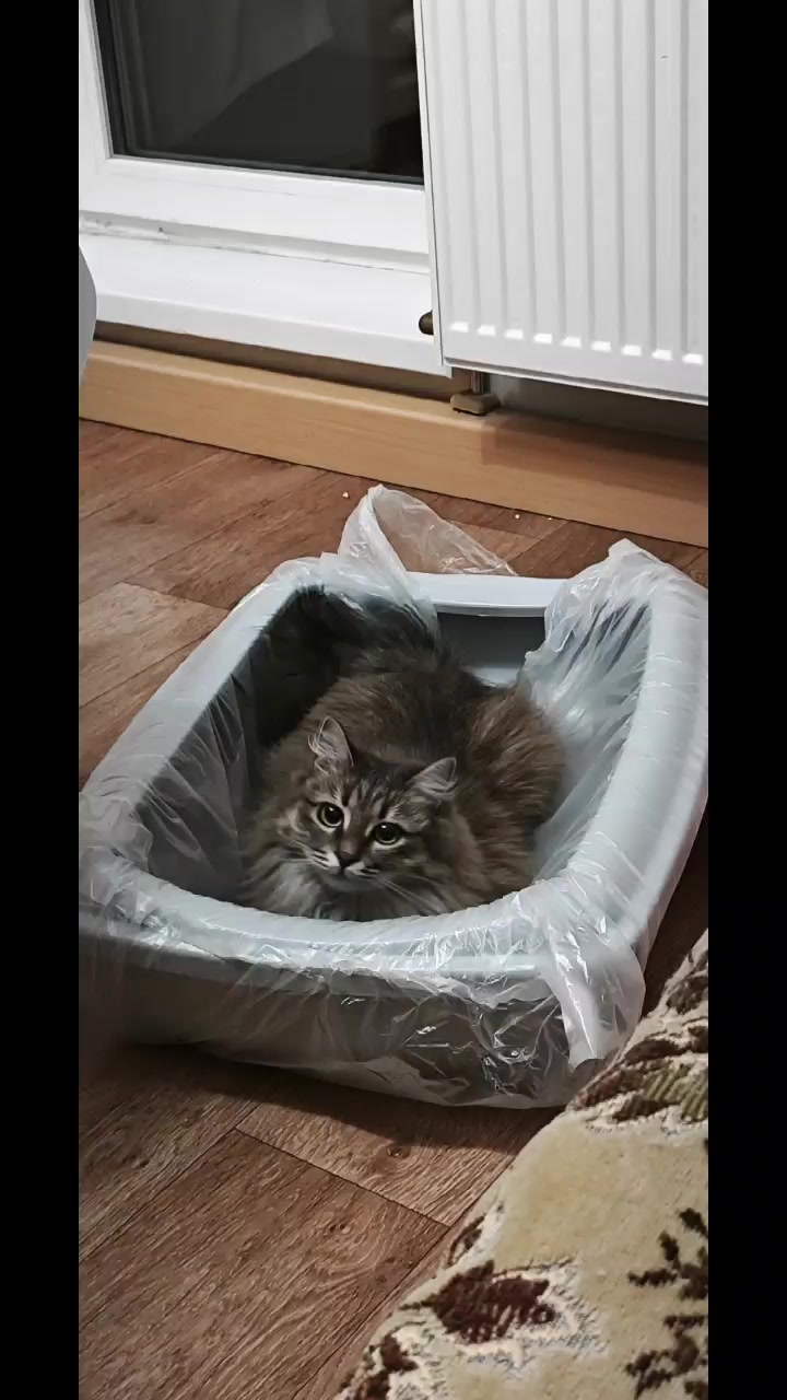 @Баст / Баста / Бася