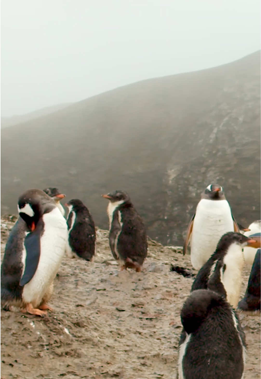 @Kai Meyer | Wildlife Filmmaker