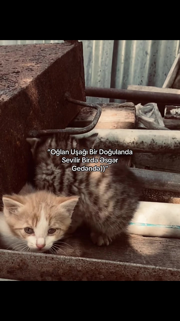 @𝑪.𝑬🦁