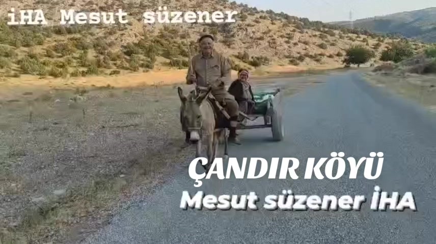 @mesut süzener