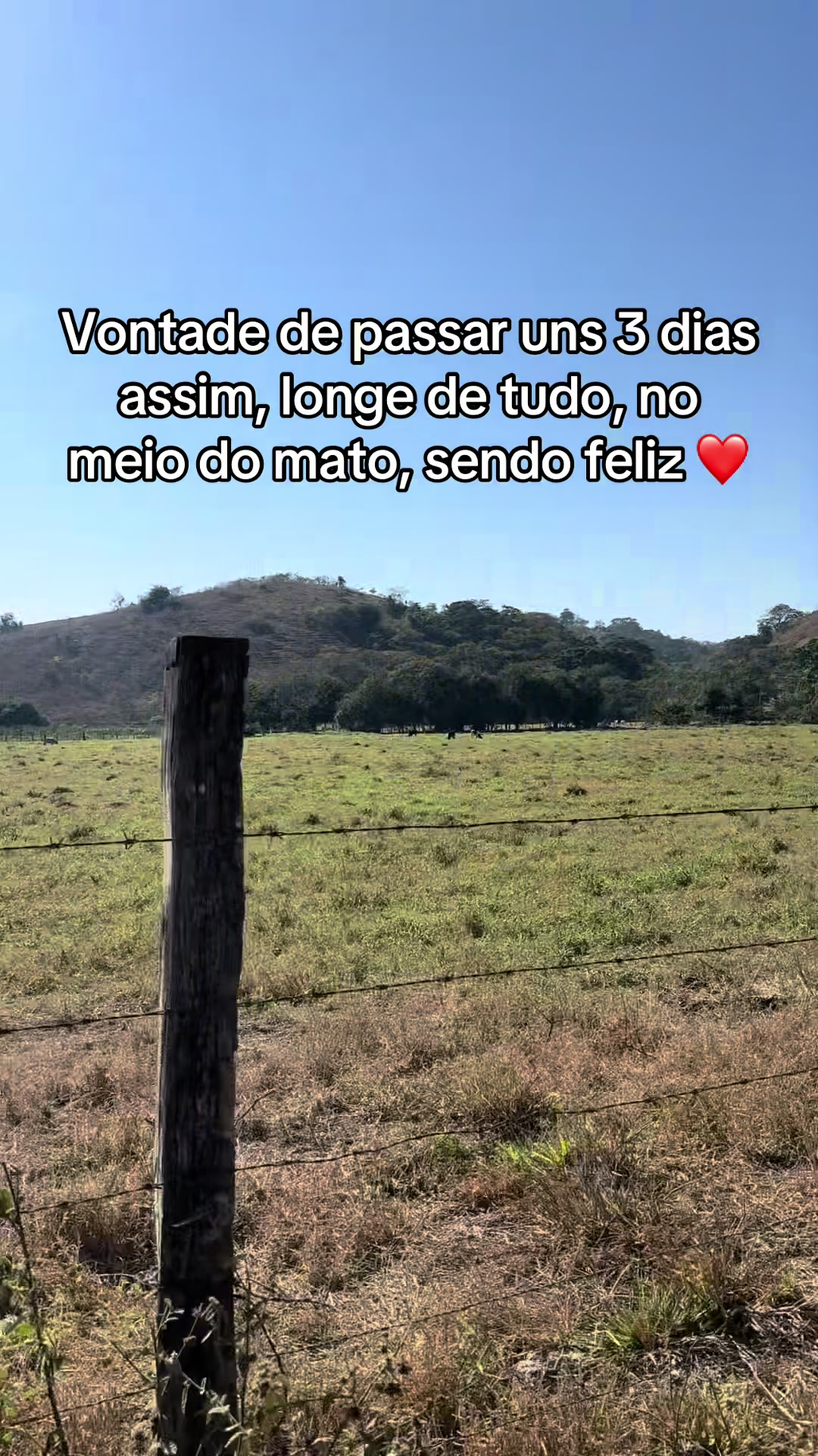 @Bruna Fernandes