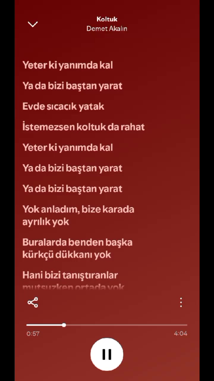 @pro müzik