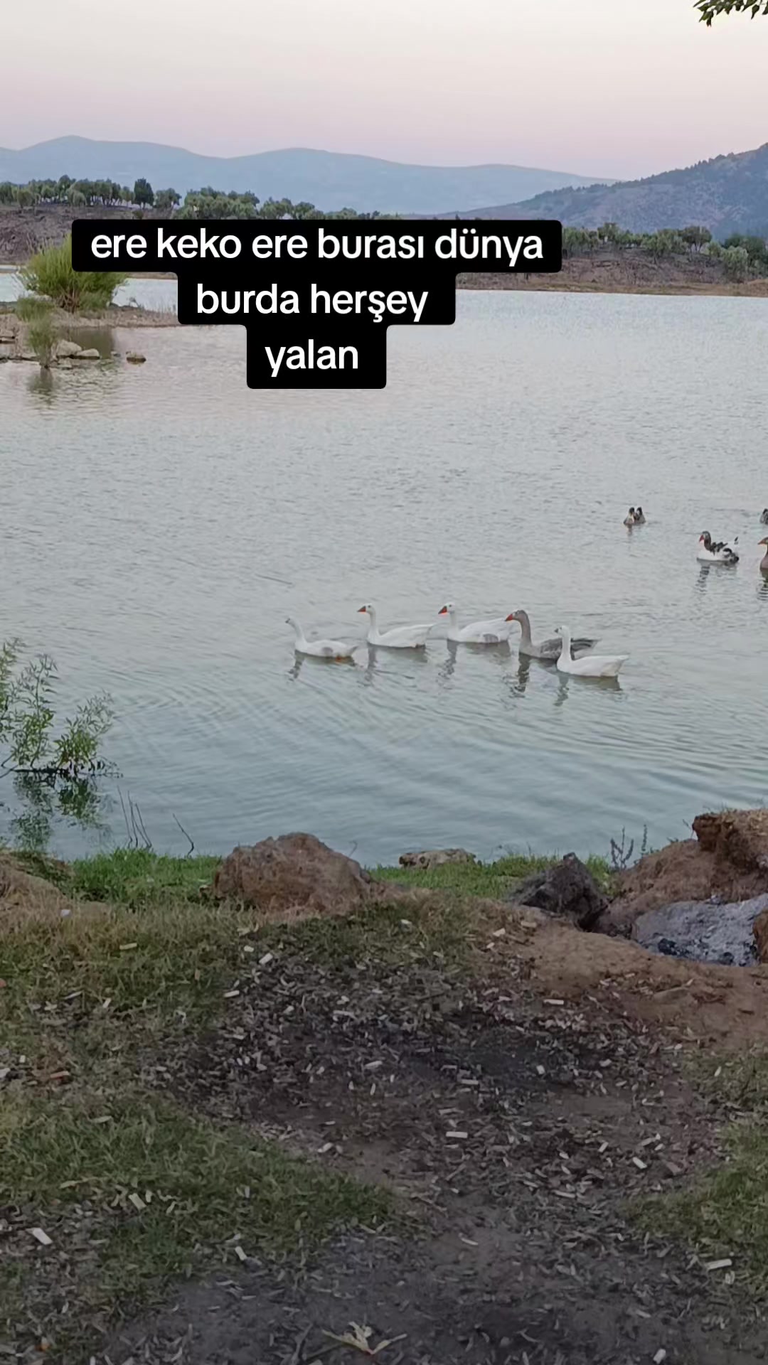 @Demir3131