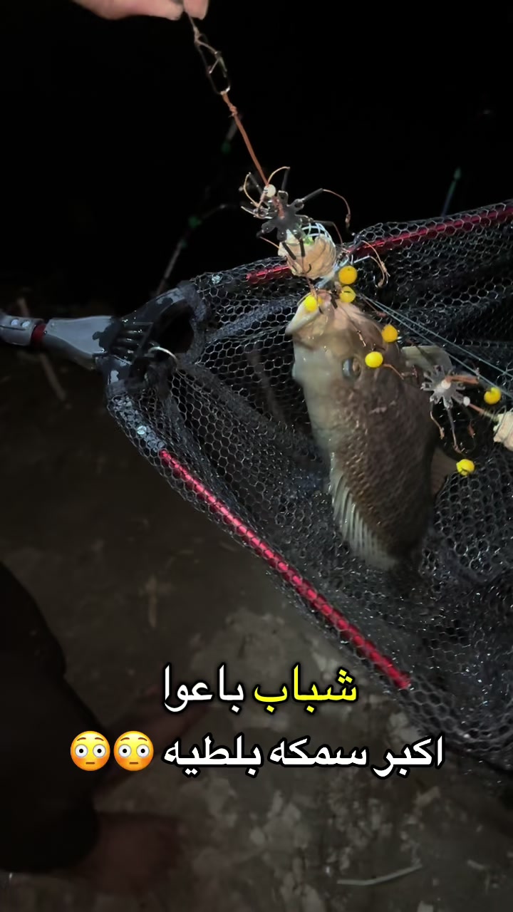 @م. إبراهيم | صياد ديالى