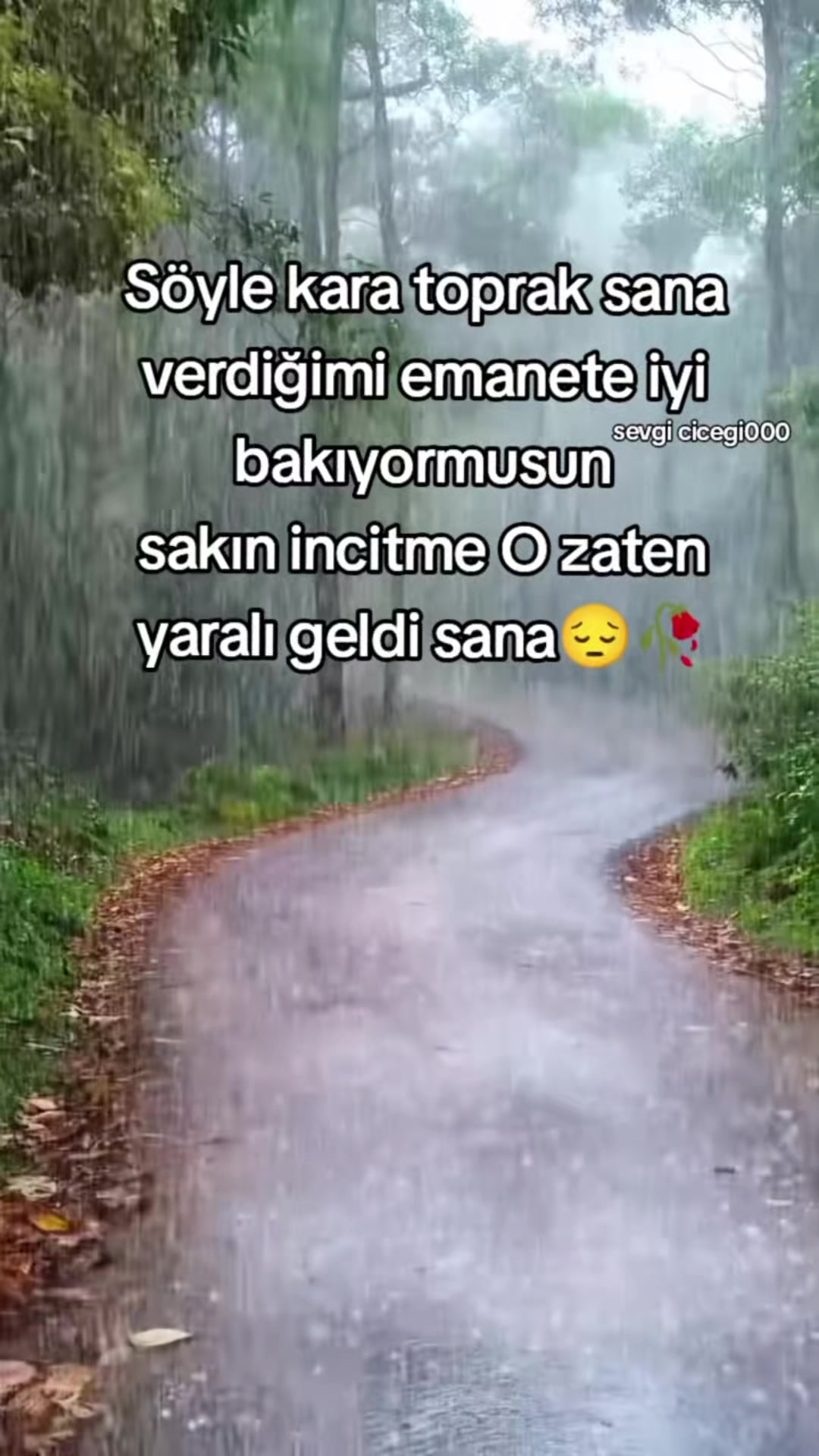 @Nuran 400