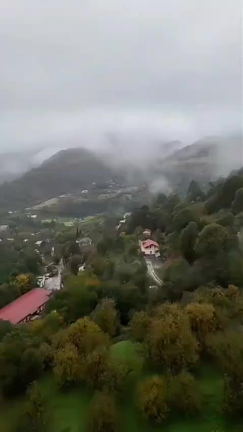 @Taleh_Mikayılov__™️