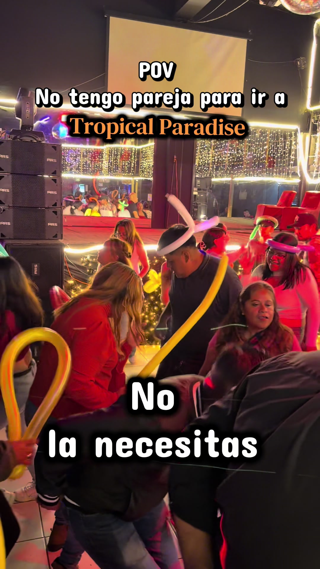 @Tropical Paradise