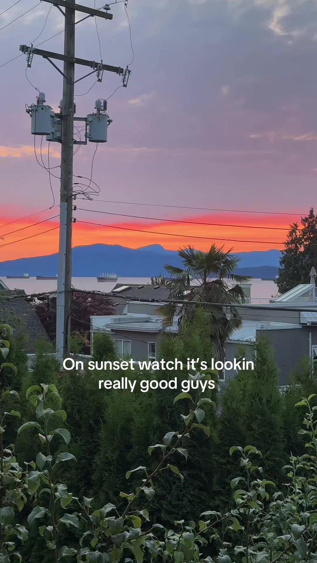 @microgirlboss