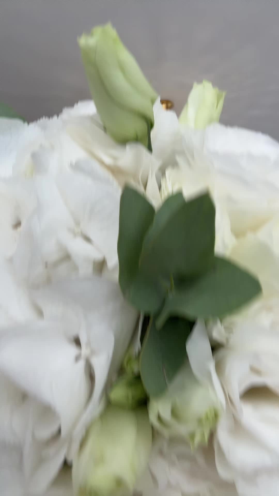 @ana.is.99
