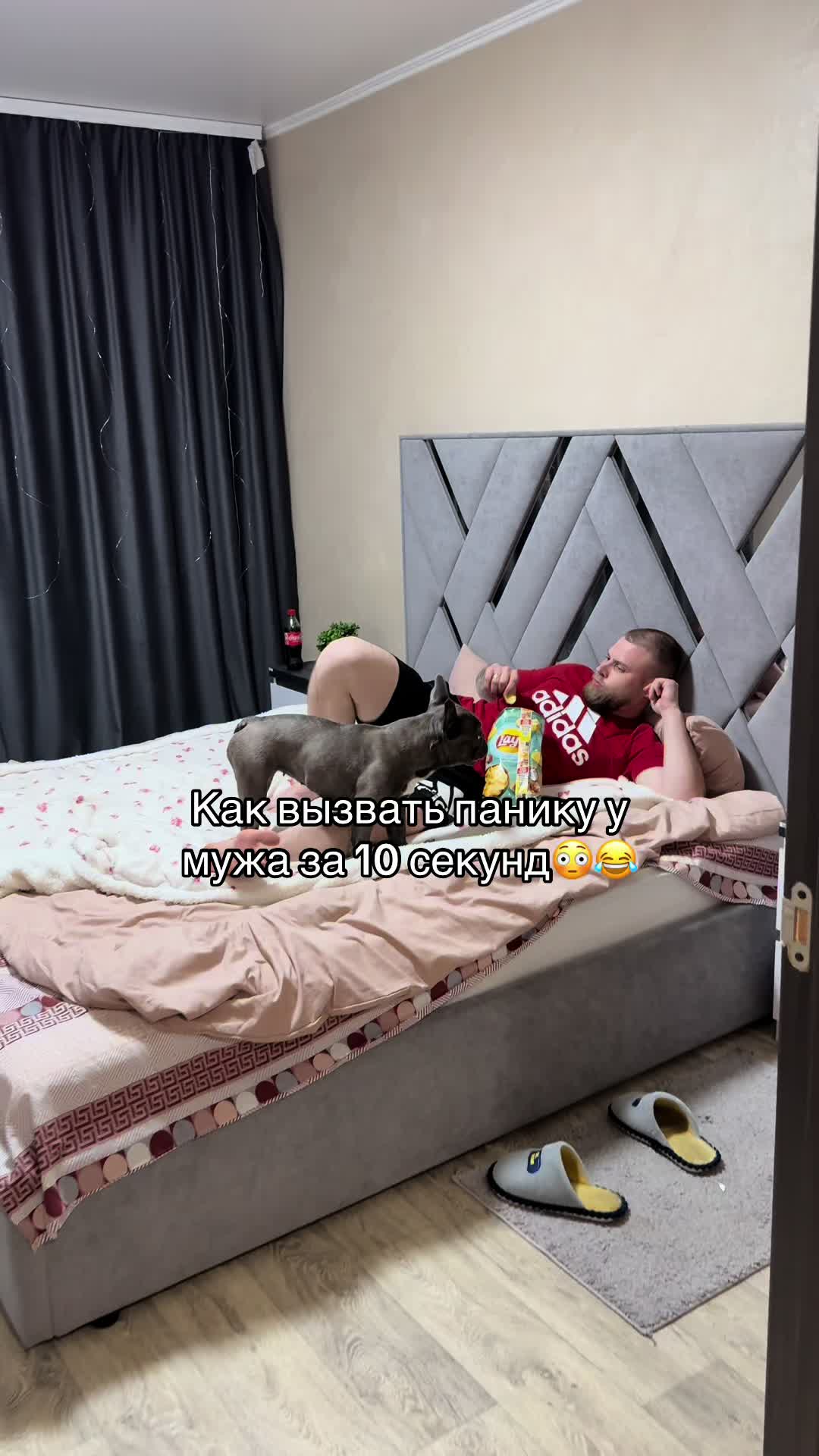 @ok_shevchiki