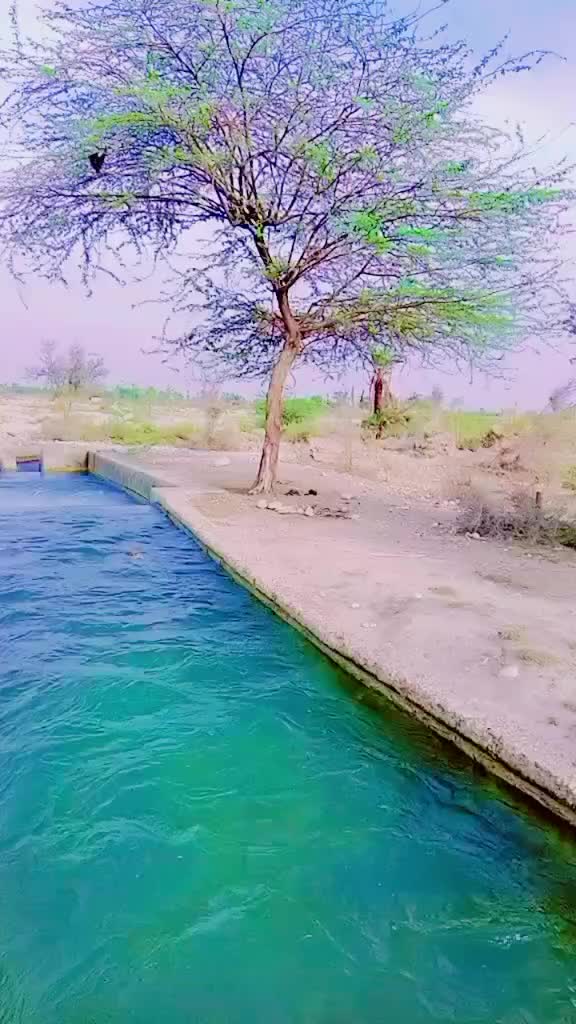 @M Naeem Rind