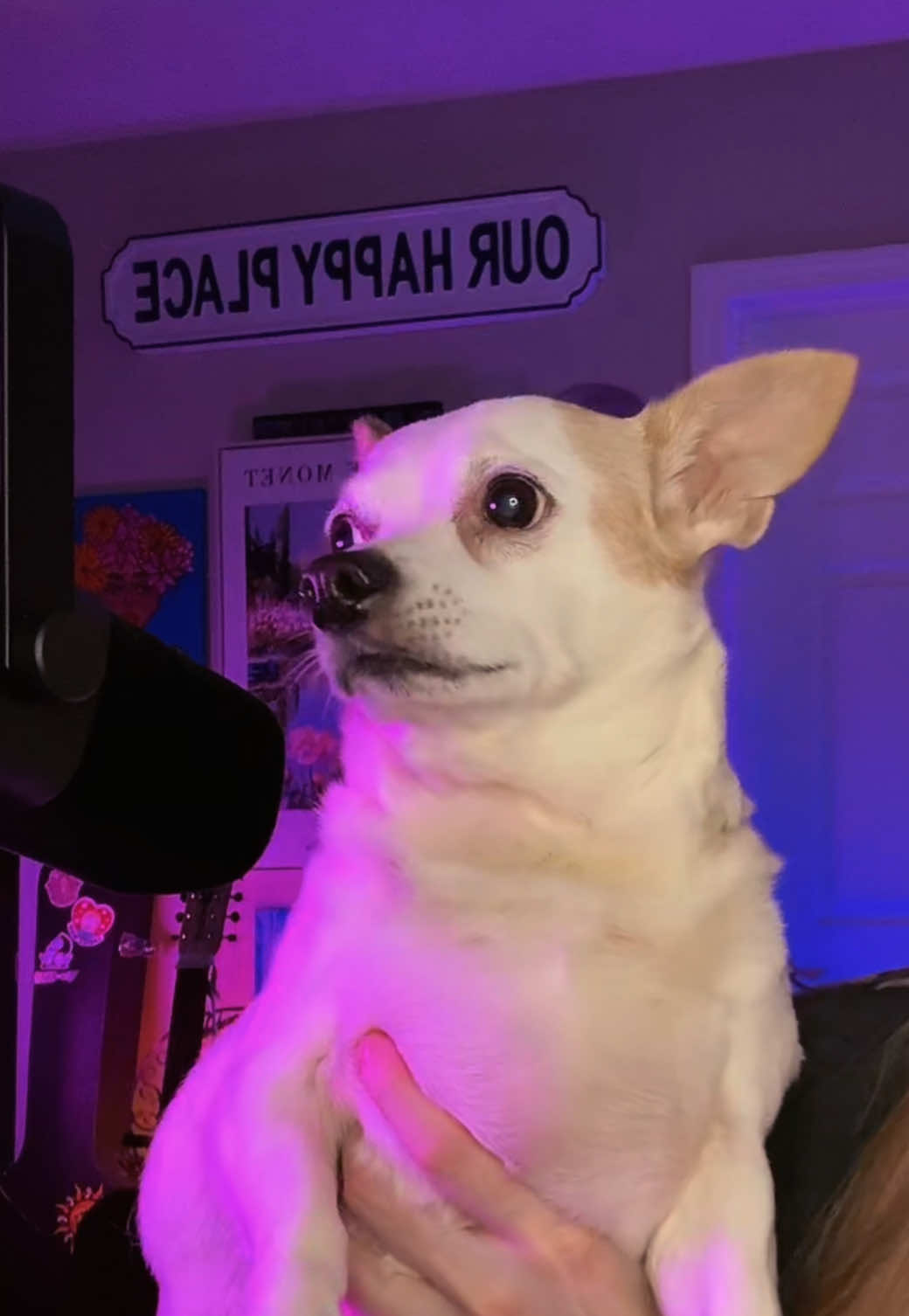 @𝕵𝖎𝖑𝖑 𝕹𝖎𝖈𝖔𝖑𝖊ᢉ𐭩