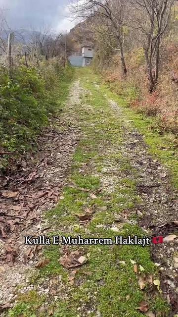 @Fatmir M Haklaj 🇦🇱🦅