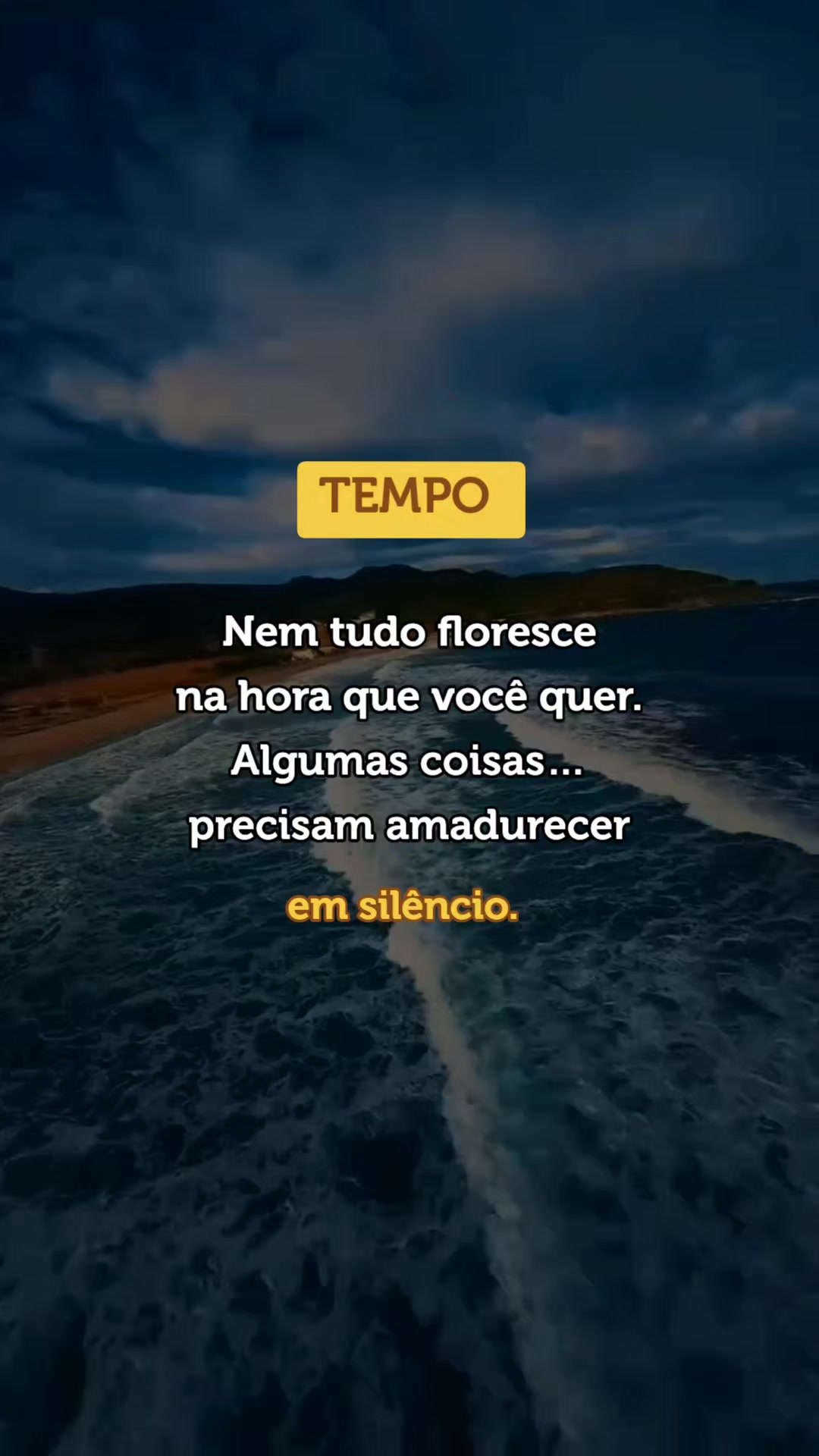 @vida em frases