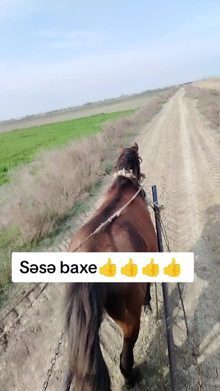 @Rahim Rahiboğlu🇦🇿✊