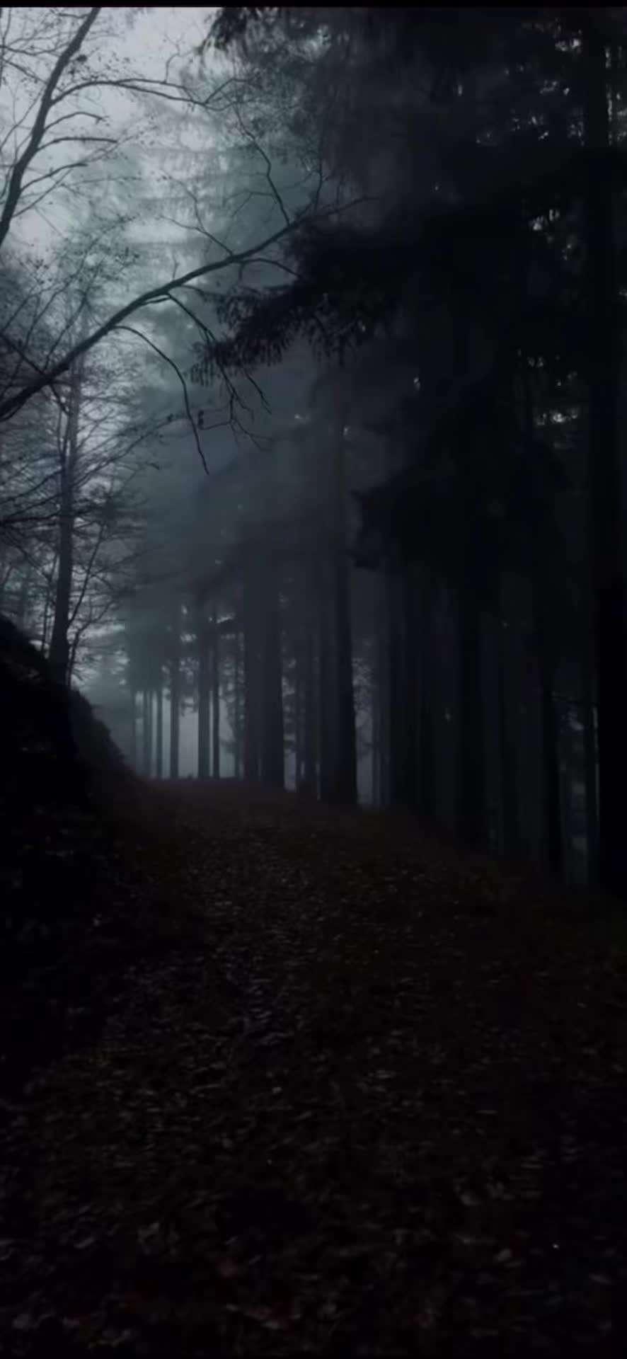 @PercRR
