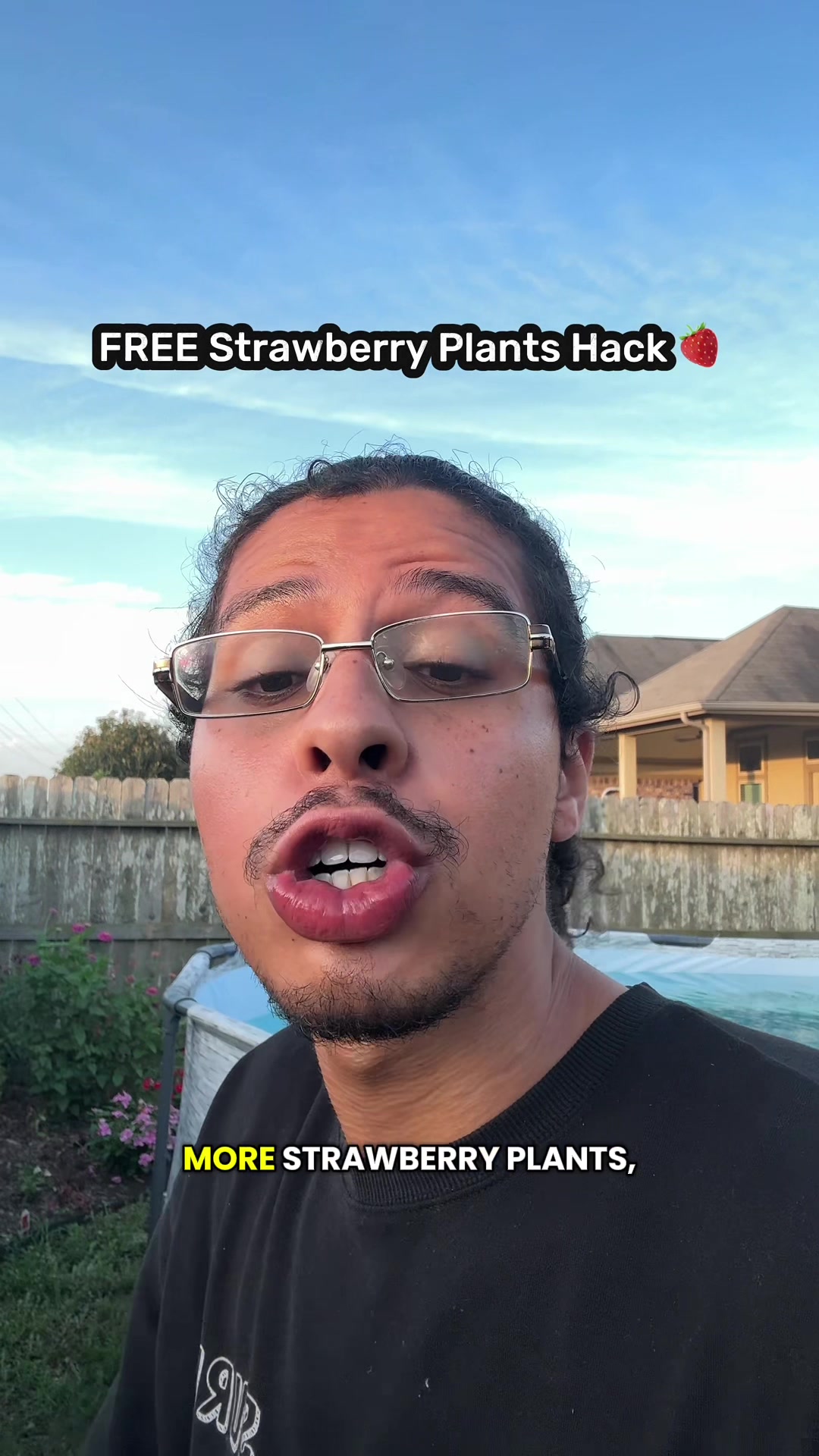 @whaleyswellness