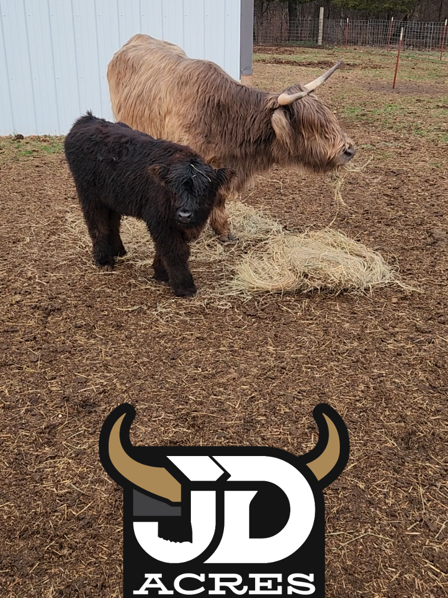 @JD Acres Farm