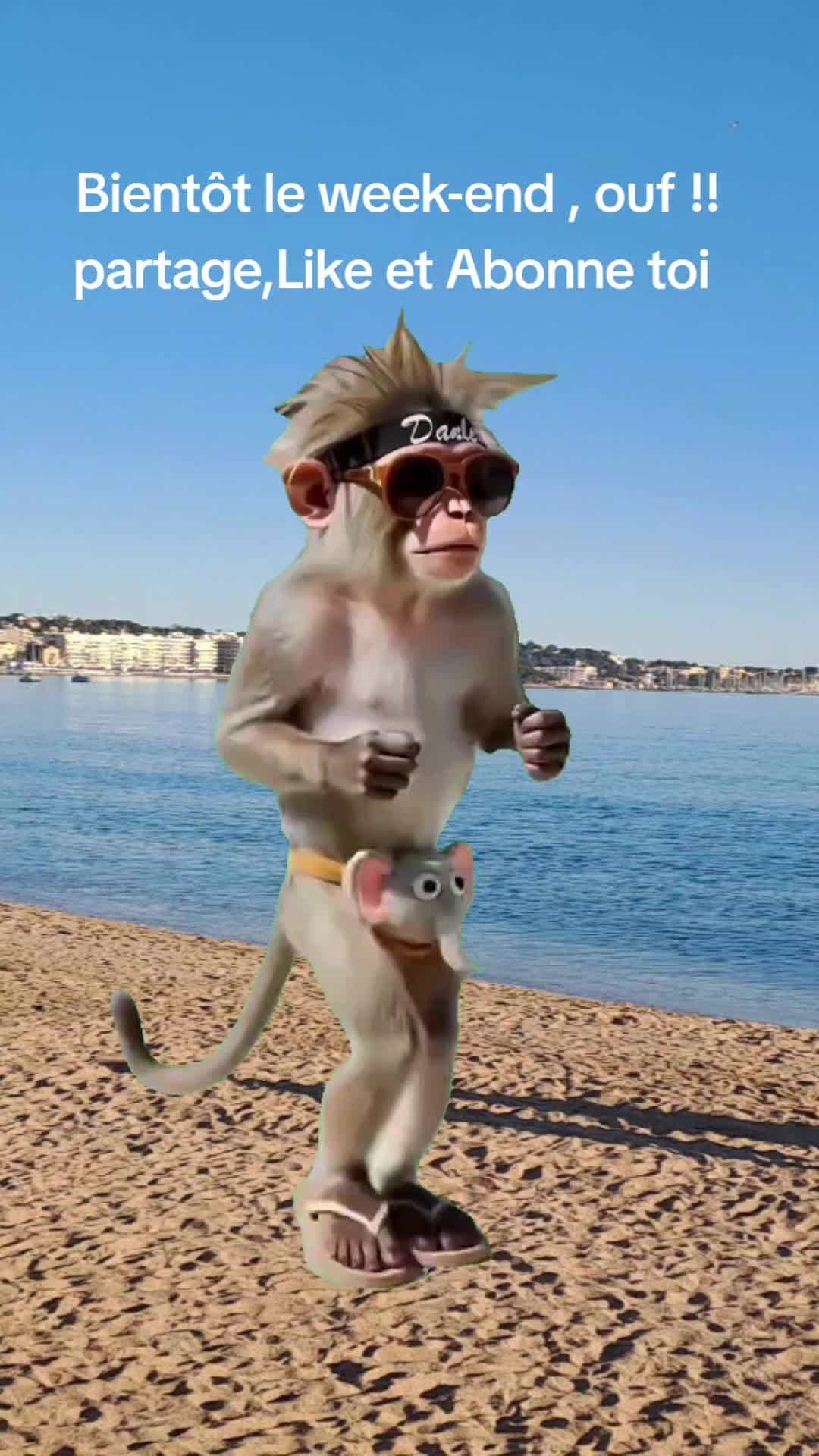@David3883
