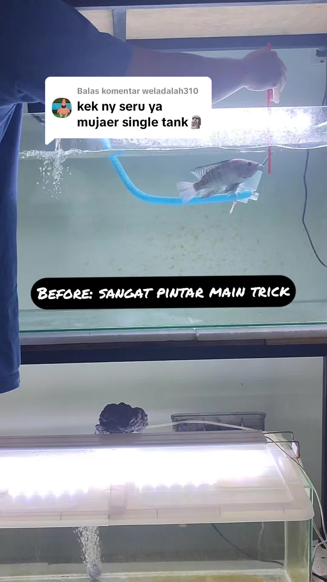 @Nicholas Seah