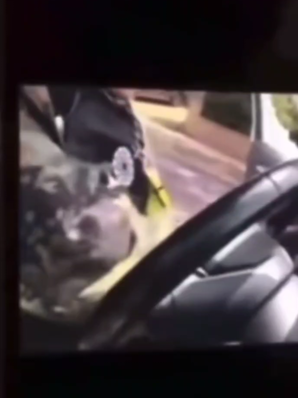 @Maritza From Diego