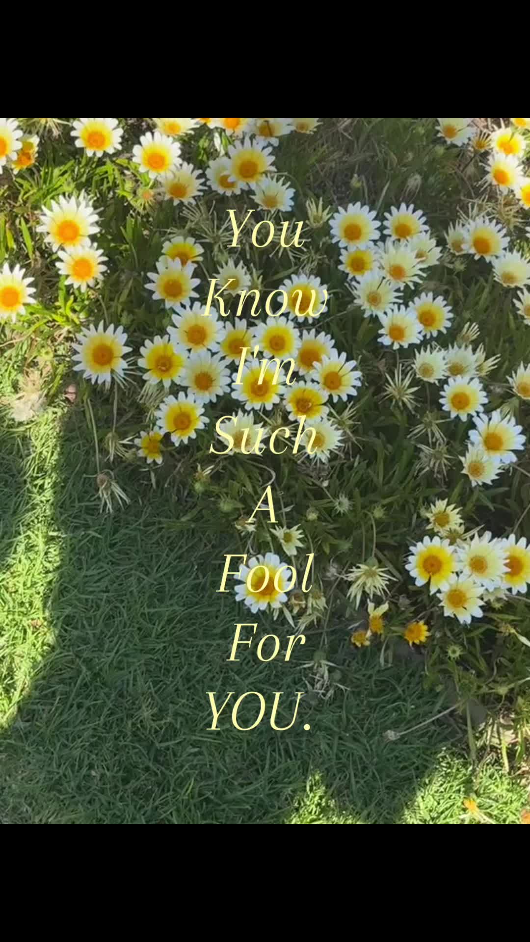 @༄.&deg; ༄.&deg;