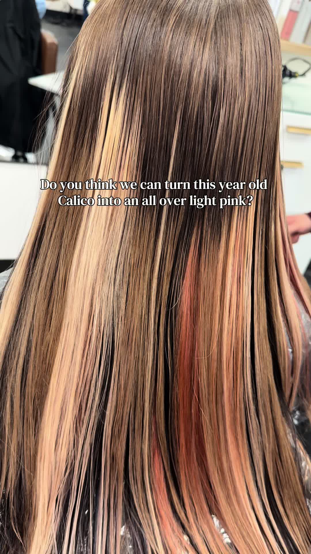 @Kristine Choate 🎨 Hair Artist