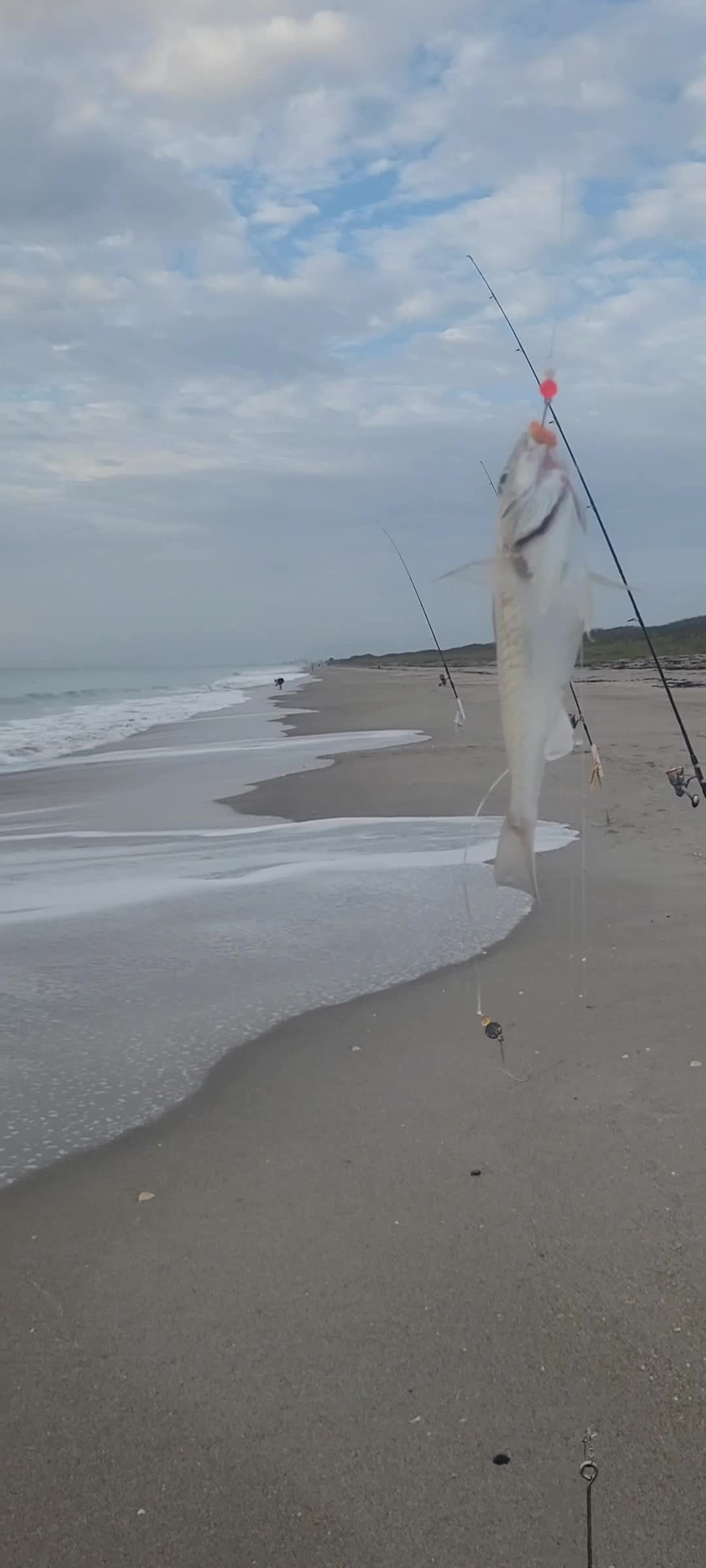 @Ghost of Space Coast Fishing