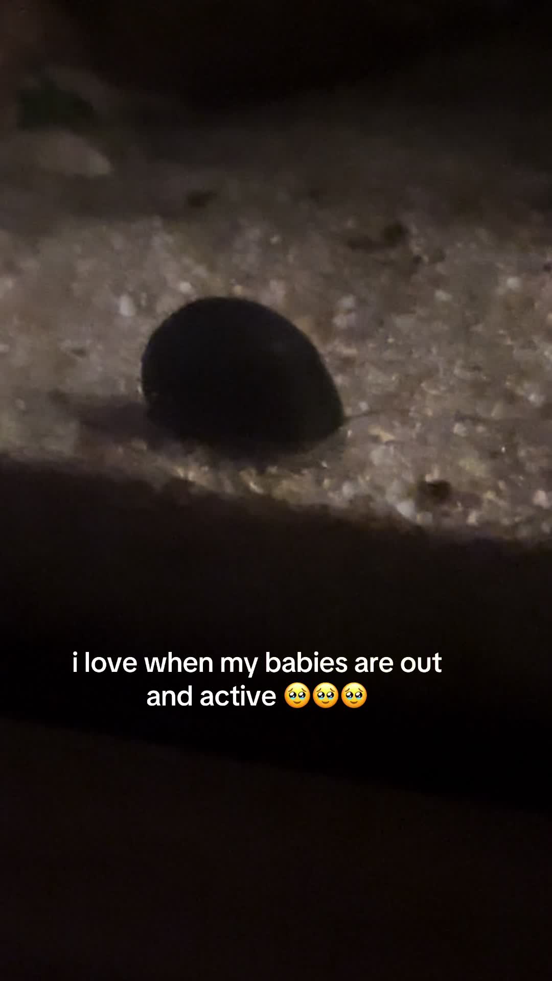 @thtsexyleooo ꩜🕷️