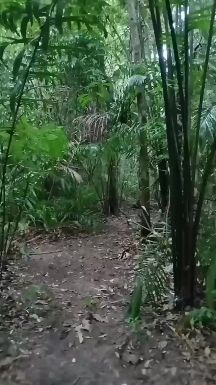 @crawlingspider