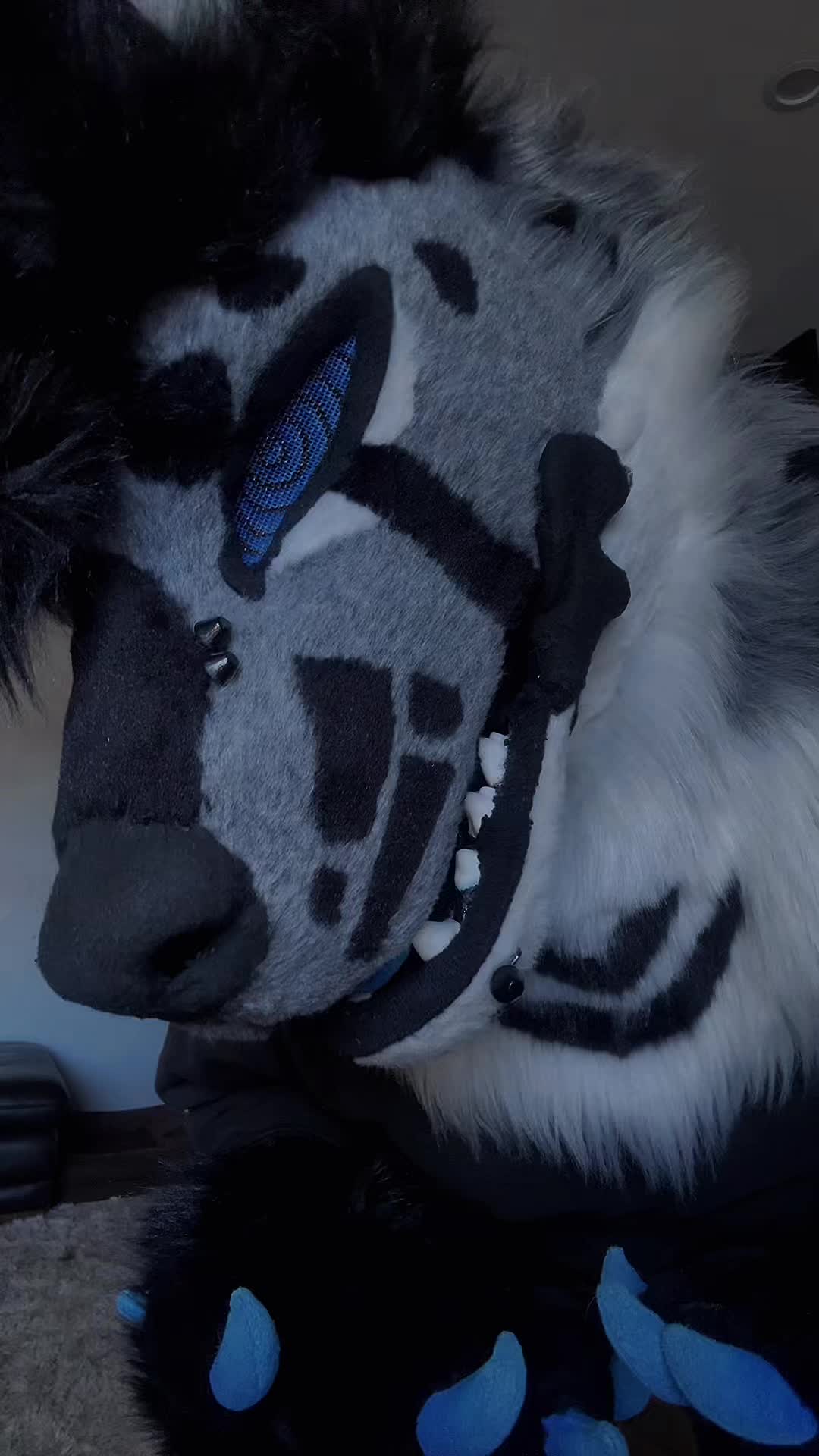 @sonar_hyena_shark