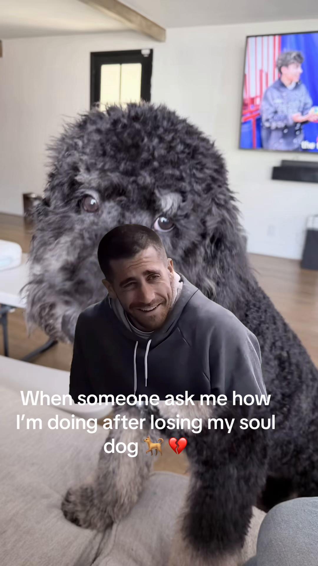 @Sandra 🖤🖤🖤