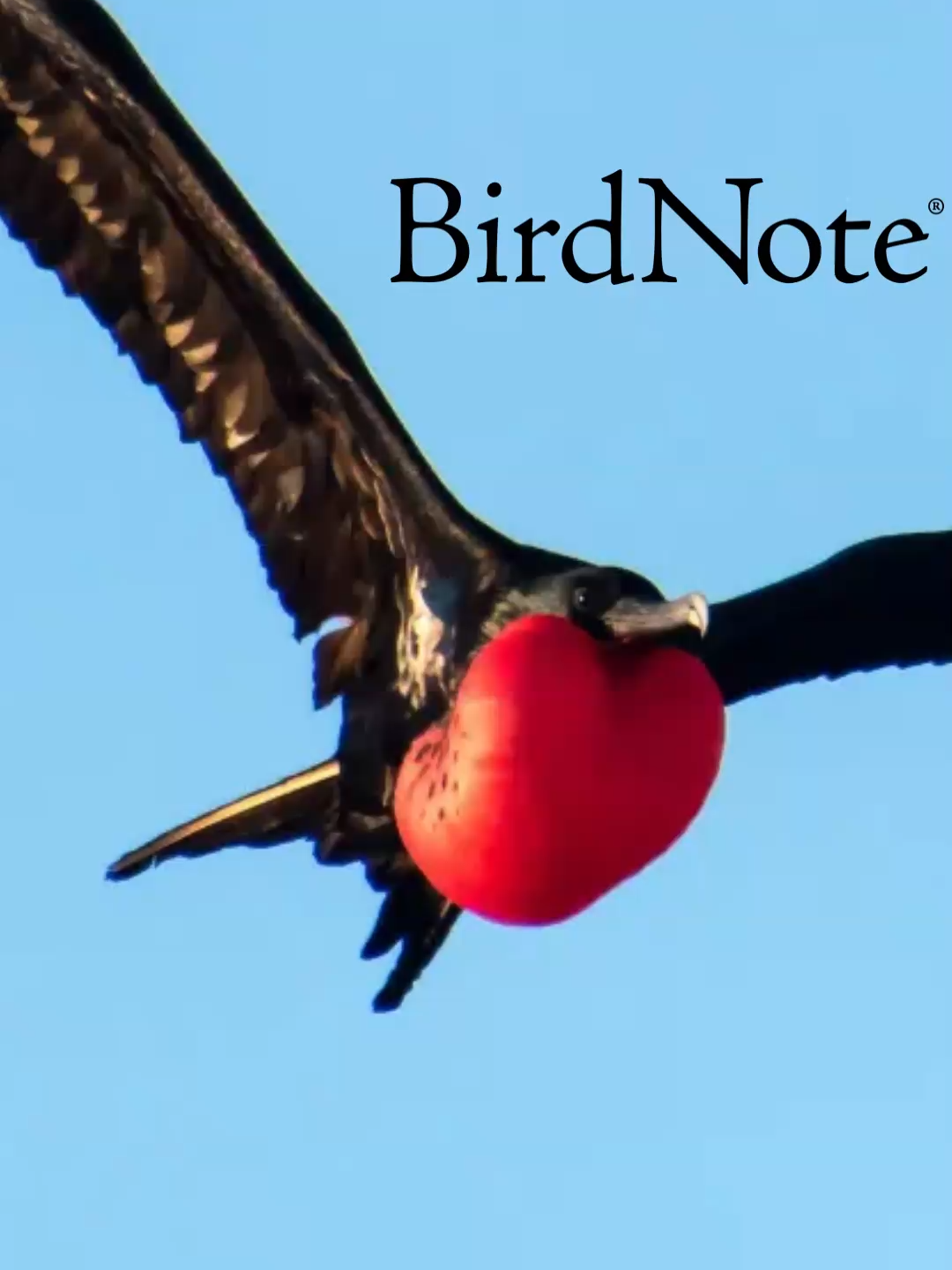 @BirdNote