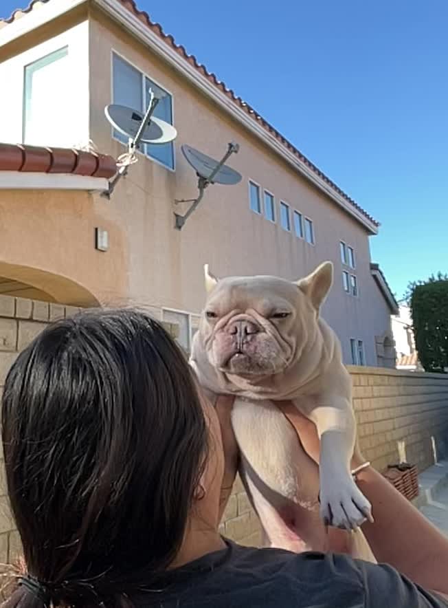 @nalathebulldog20