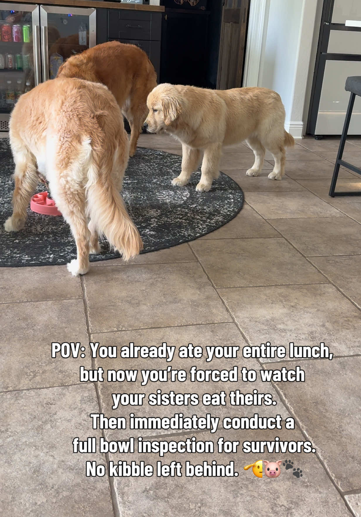 @Luna, Nova & Bella💜🩷💜