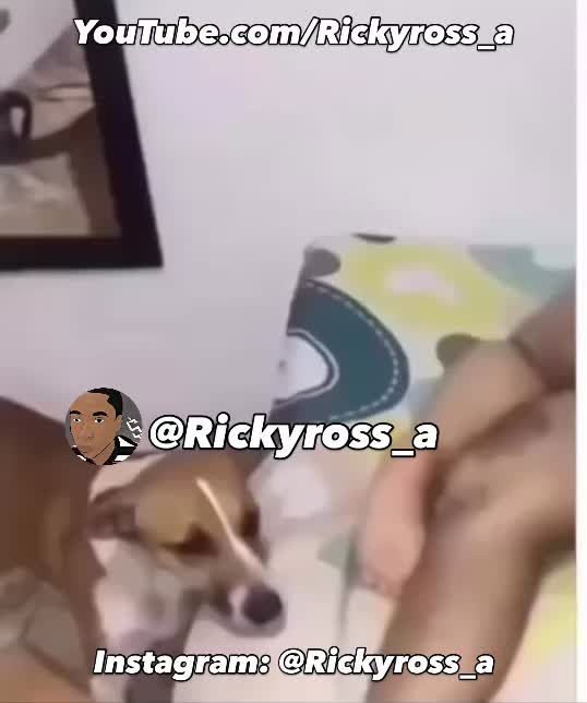 @Rickyross_a