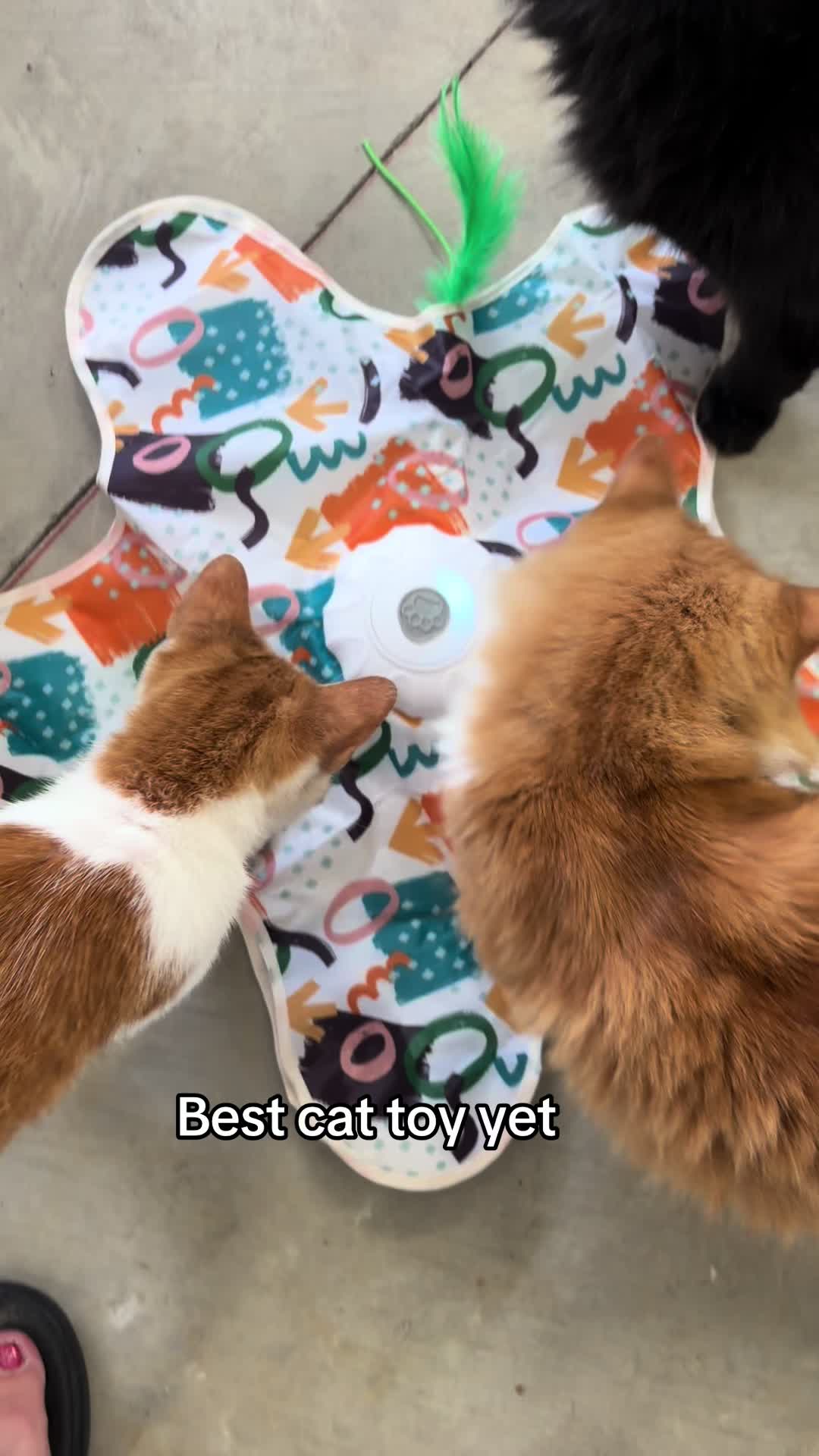 @Thedivakats