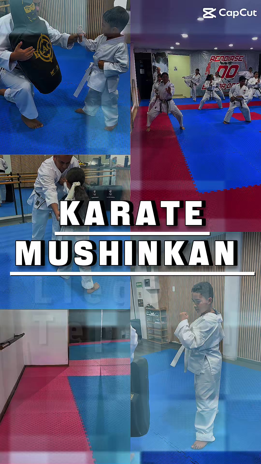 @Karate Mushinkan