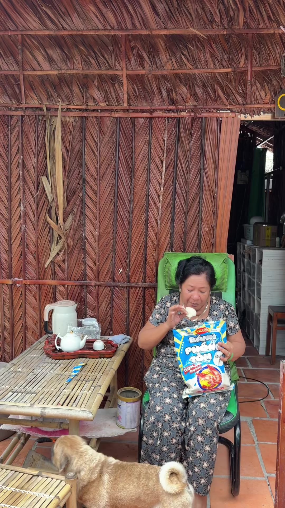 @tuncuibap67