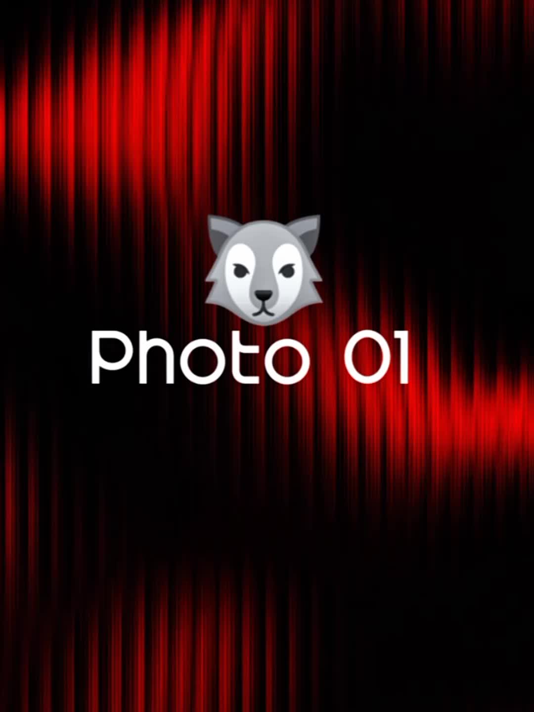@๐๐๐๐๐๐ข ๐๐๐๐๐๐๐๐