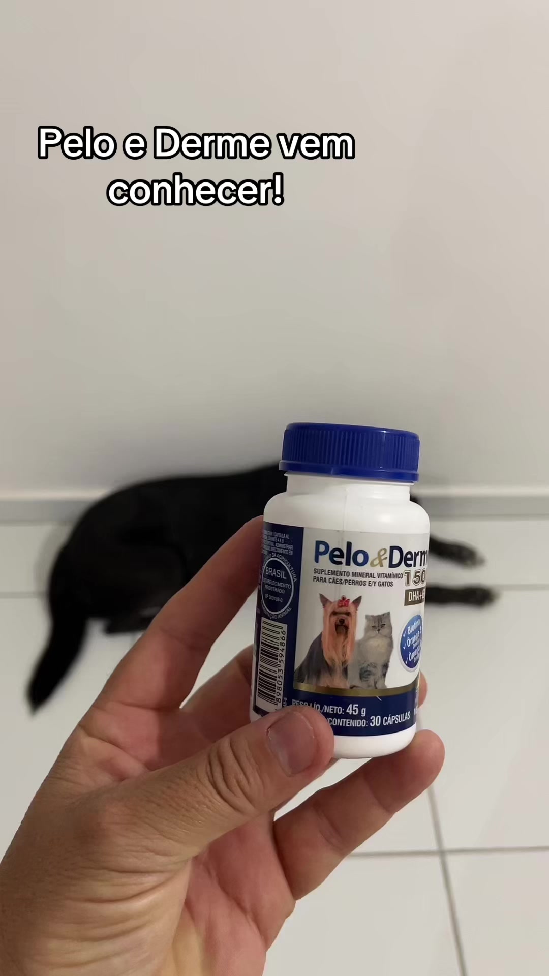 @LOURENÇO | VETERINÁRIO🩺