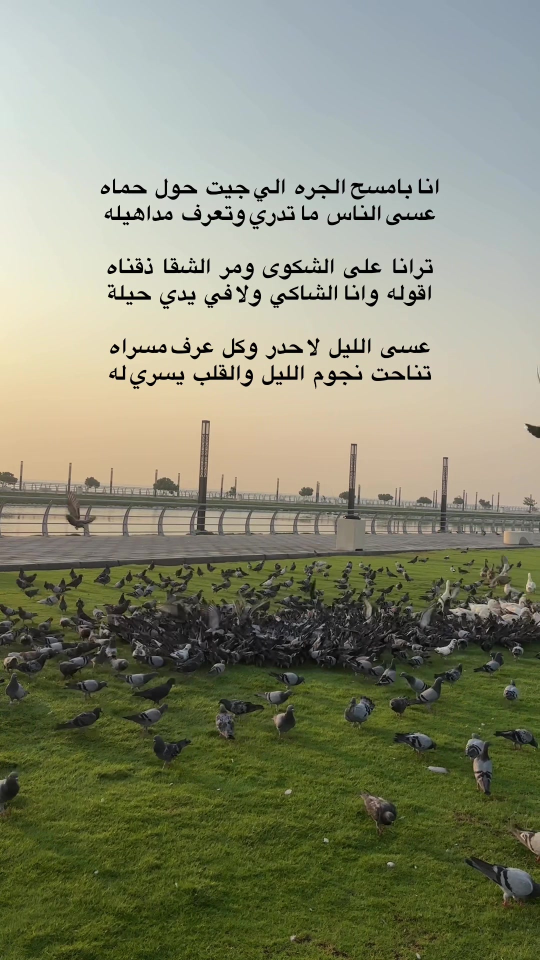 @﮼هديل﮼الخبر 🇸🇦🕊️📸