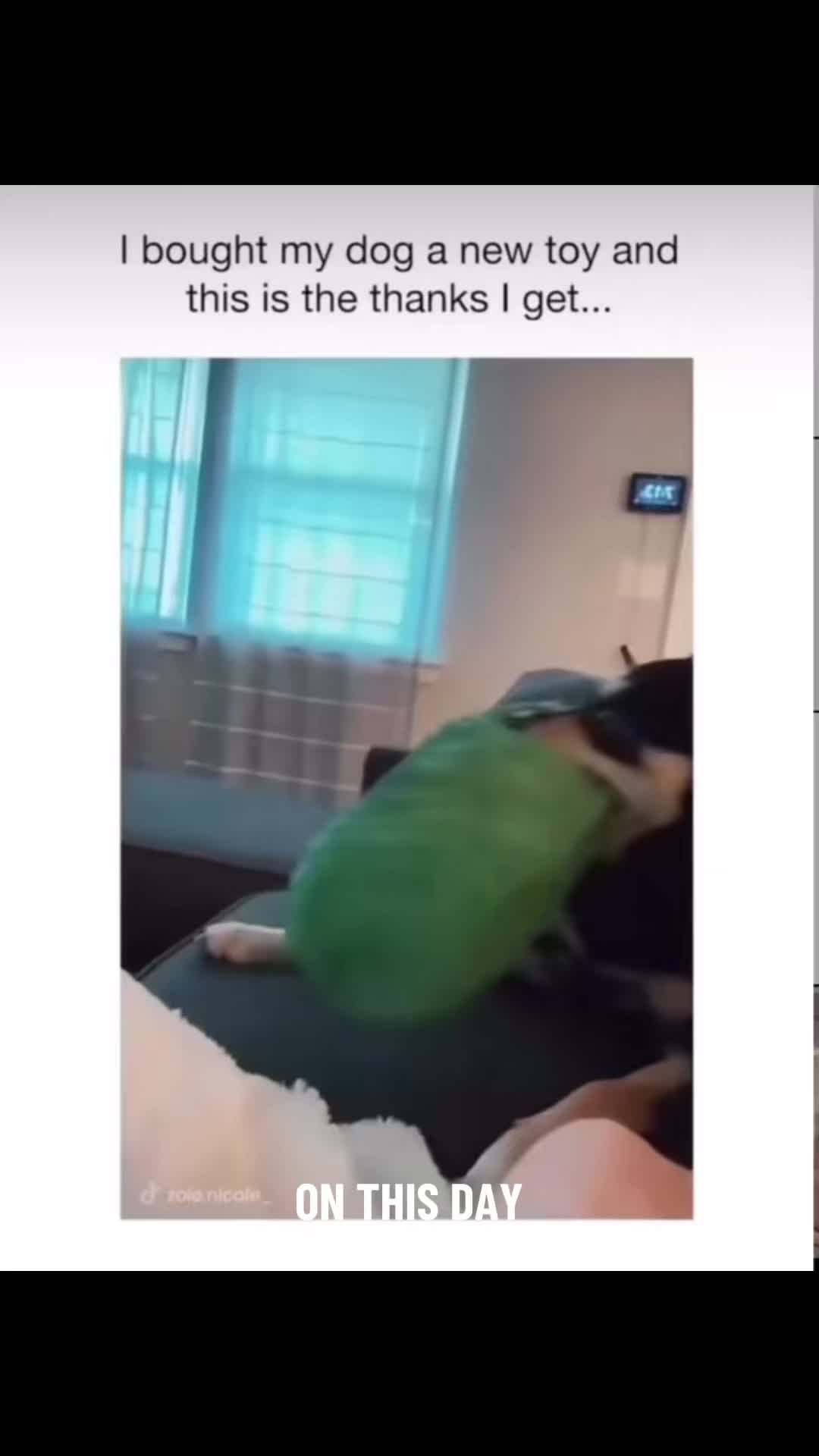 @ms.funnyy