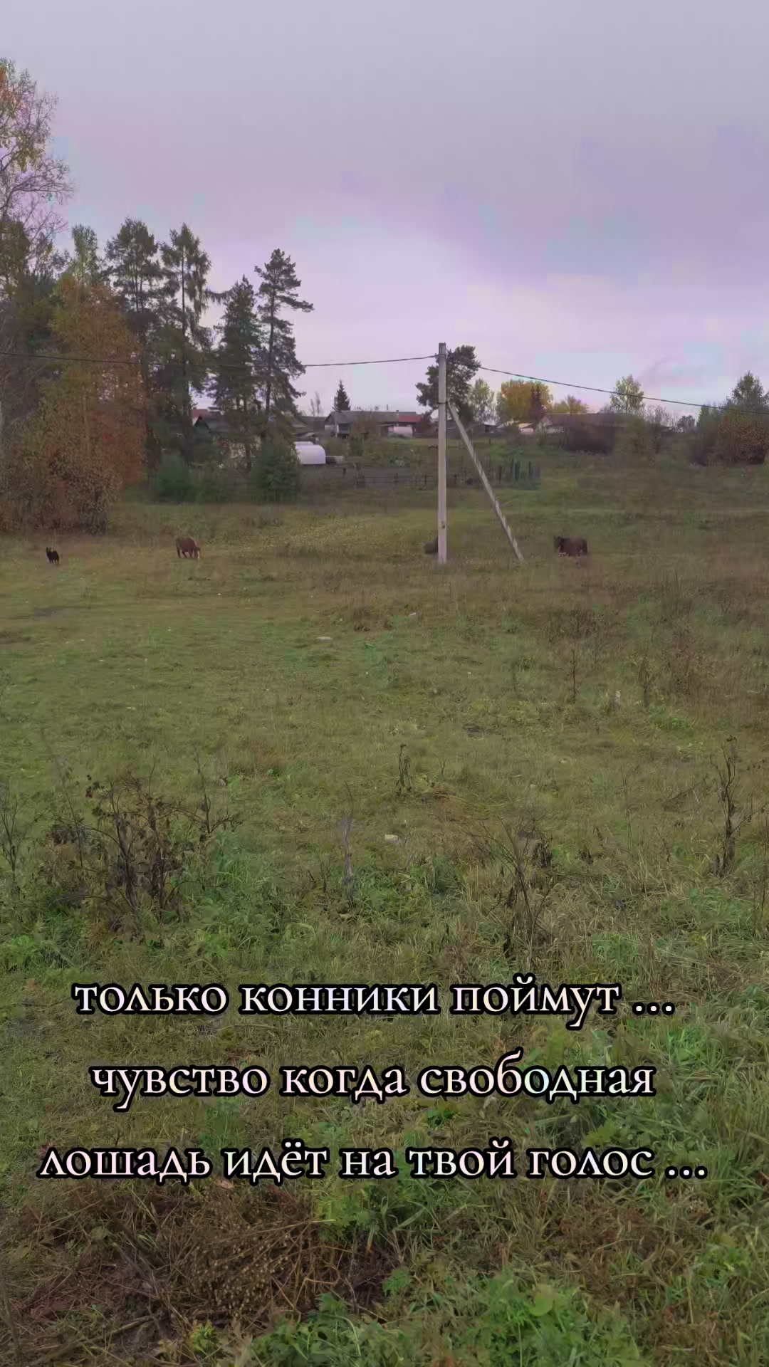 @Юлия