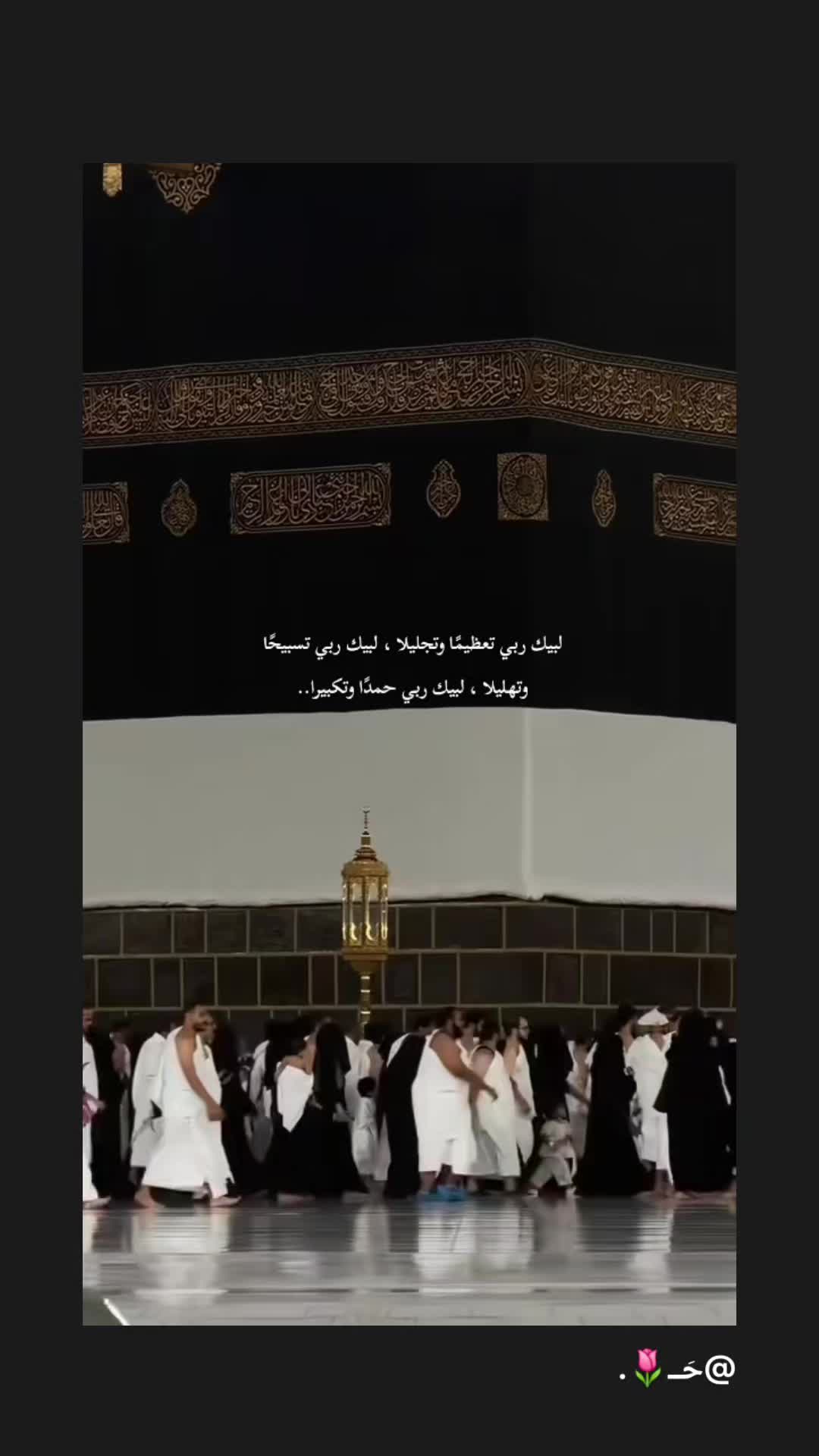 @Mashael Ali🏹🇺🇲