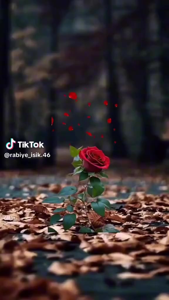 @herşey cok güzel olacak