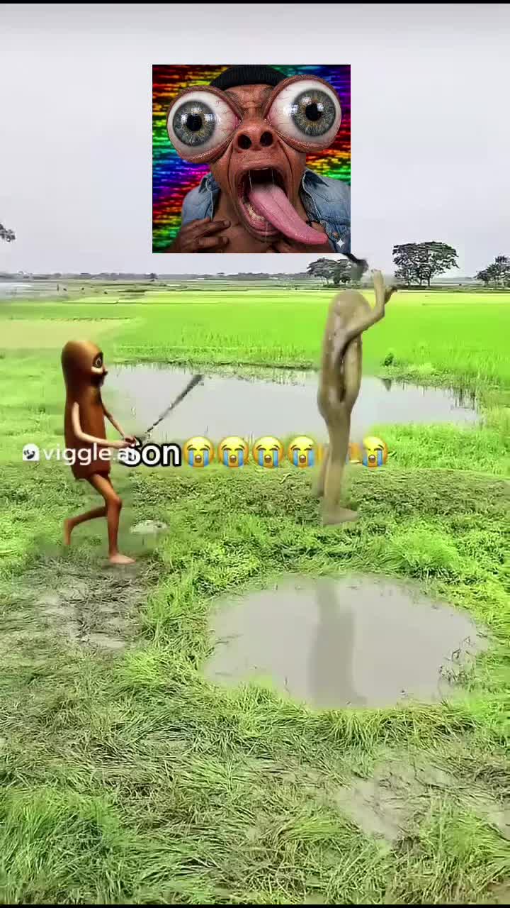 @🍴fork🍴