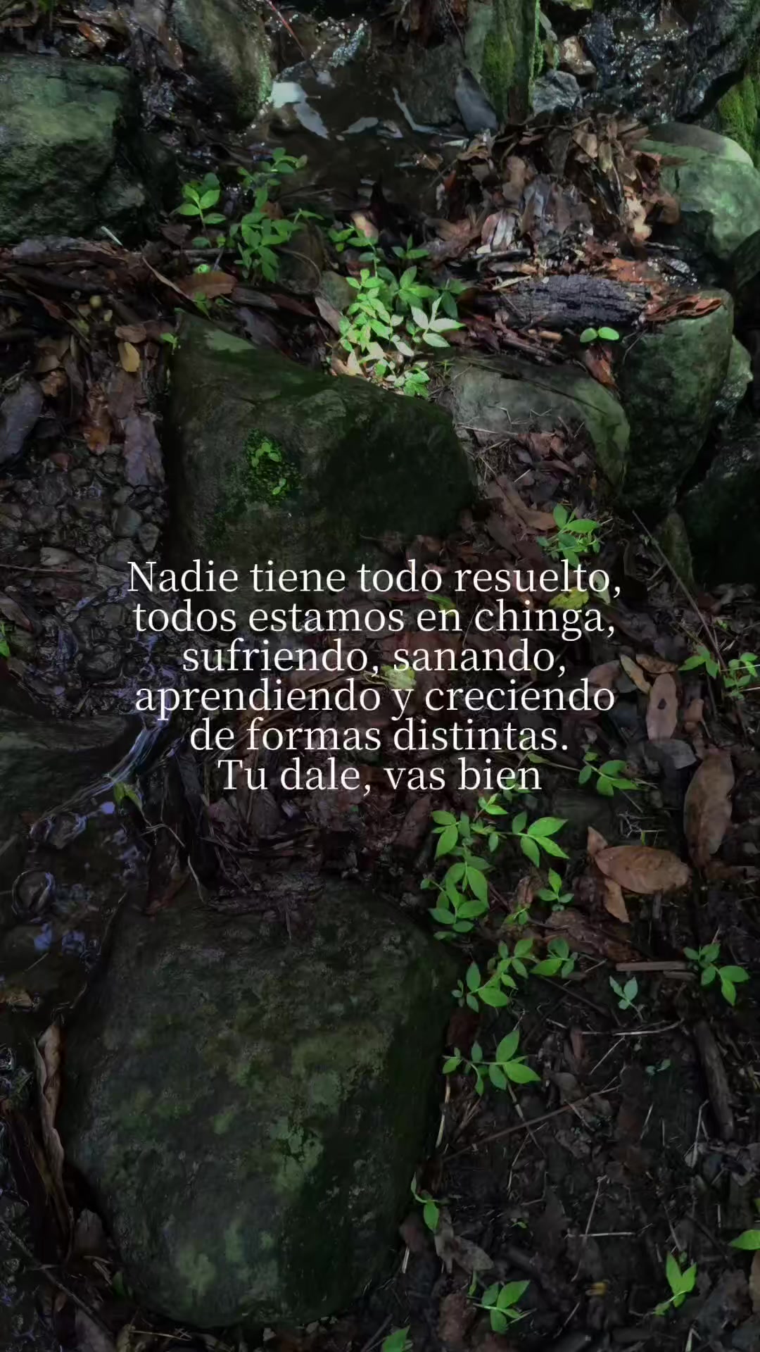 @Reflexiones del corazón